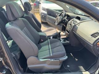 RENAULT Megane usata, con Fendinebbia