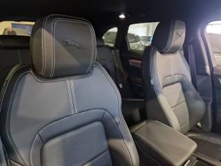 JAGUAR F-Pace usata, con Filtro antiparticolato