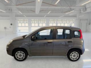 FIAT Panda usata, con Chiusura centralizzata