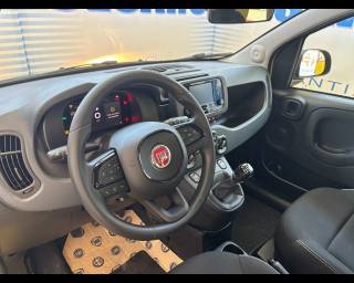 FIAT Pandina usata, con Cruise Control