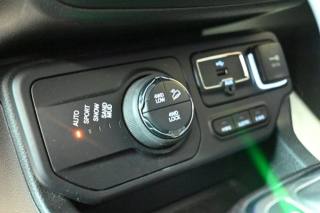 JEEP Renegade usata 52