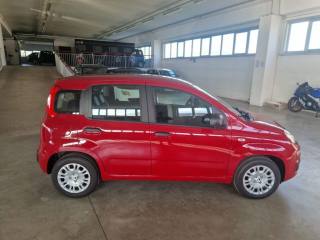 FIAT Panda usata, con Airbag Passeggero
