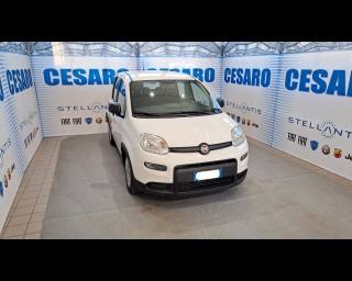 FIAT New Panda 1.0 firefly hybrid 70cv 5 posti