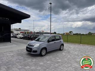FIAT Panda 1.2 GPL  ANCHE PER NEOPATENTATI