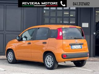 FIAT Panda usata, con Controllo trazione
