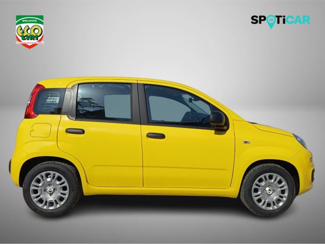 FIAT Panda usata, con Antifurto