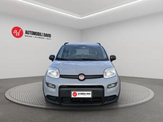 FIAT Panda usata, con Alzacristalli elettrici