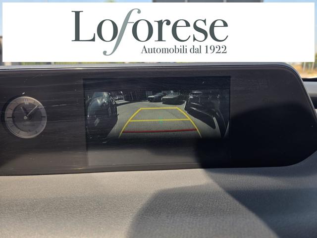 LEXUS UX 250h usata, con Immobilizzatore elettronico