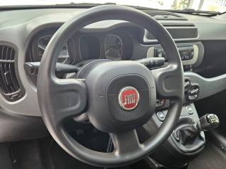 FIAT Panda usata, con Antifurto