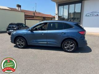 FORD Kuga usata, con Filtro antiparticolato