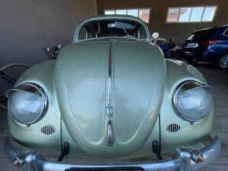 VOLKSWAGEN Maggiolino usata 12