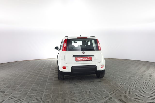 FIAT Panda usata 4