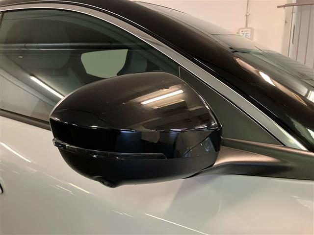 RENAULT Megane usata 25