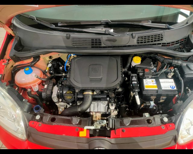 FIAT New Panda usata 18