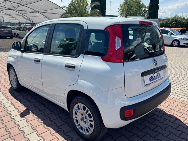 FIAT New Panda usata, con Climatizzatore