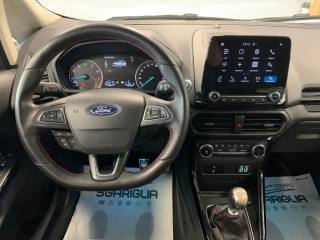 FORD EcoSport usata, con Tettuccio apribile