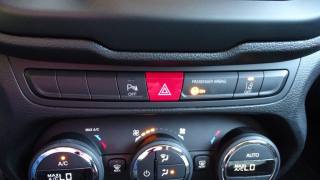 JEEP Renegade usata 106