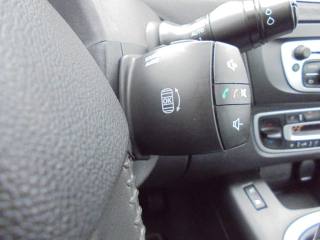 RENAULT Scenic usata 42