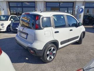 FIAT Panda usata, con Climatizzatore