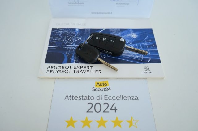 PEUGEOT Traveller usata 45