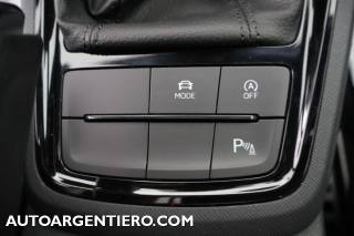 SKODA Kamiq usata, con Park Distance Control