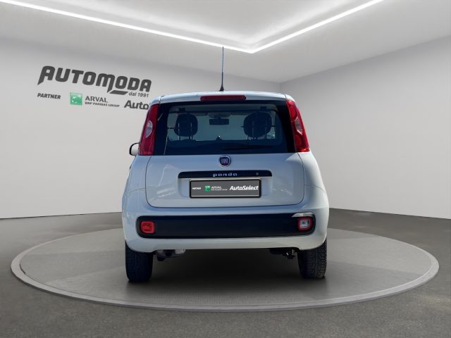 FIAT Panda usata, con Controllo trazione