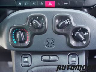 FIAT Panda usata 14