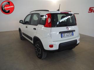 FIAT Panda usata, con Controllo trazione