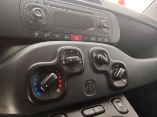 FIAT Panda usata, con Airbag testa