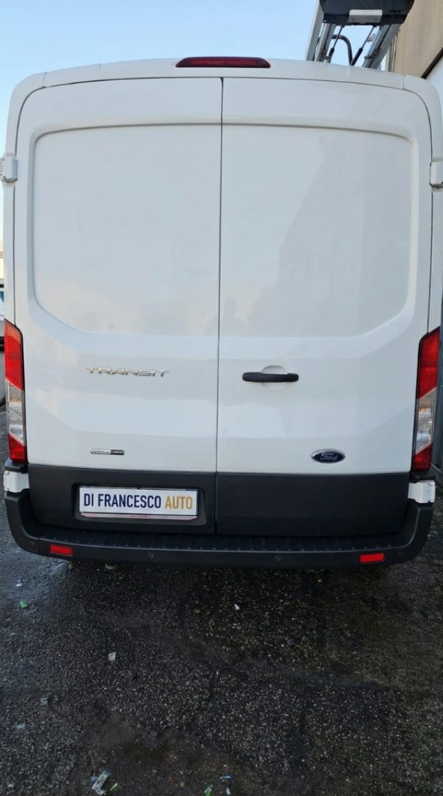 FORD Transit usata, con Fendinebbia