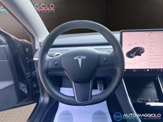 TESLA Model 3 usata, con Fendinebbia