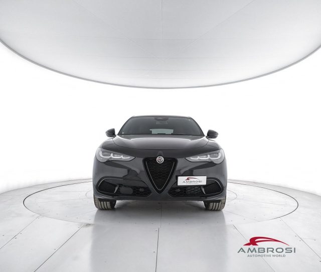 ALFA ROMEO Stelvio usata 4