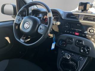 FIAT Panda usata 9