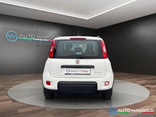 FIAT Panda usata, con Autoradio