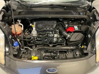 FORD Puma usata, con Cerchi in lega