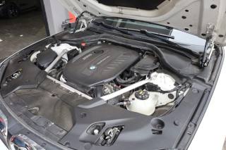 BMW 530 usata 166