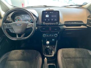 FORD EcoSport usata, con Vetri oscurati