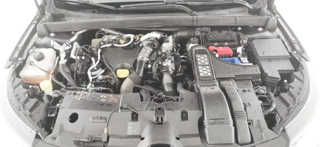RENAULT Megane usata 65