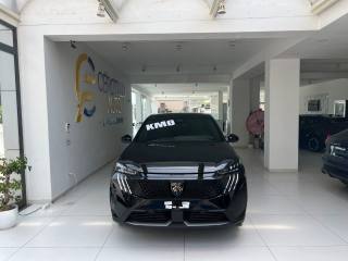 PEUGEOT 3008 usata, con Alzacristalli elettrici