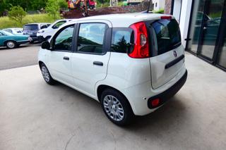 FIAT Panda usata, con Alzacristalli elettrici