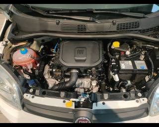 FIAT New Panda usata 16