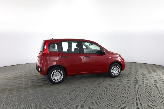 FIAT Panda usata 2