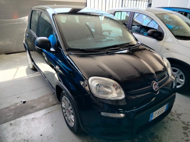 FIAT Panda usata, con Immobilizzatore elettronico