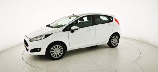 FORD Fiesta usata 44