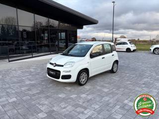 FIAT Panda usata, con Airbag