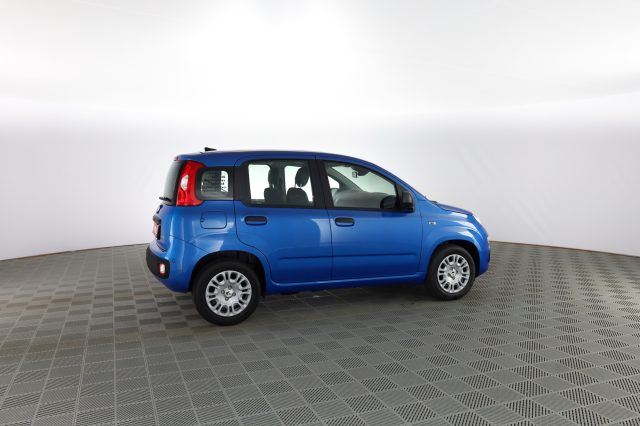 FIAT Panda usata 2
