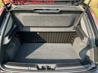 FIAT Punto usata 15