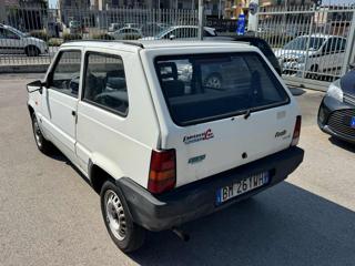 FIAT Panda usata 5