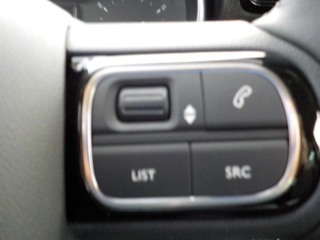 CITROEN C3 Aircross usata, con Controllo vocale