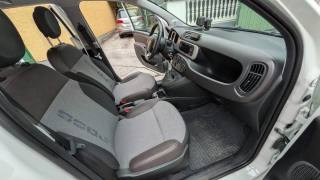 FIAT Panda usata, con Fendinebbia